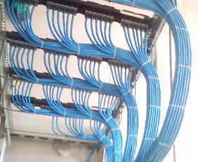 西湖區辦公室綜合布線指南 弱電、網線、強電與電話線的專業部署方案